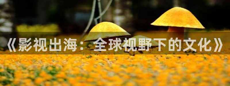 浮力影院国产免费观看